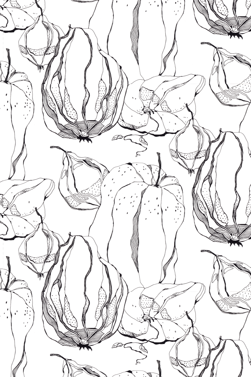 Mustavalkoinen kuvio, jossa on erilaisia kukkamuotoja ja lehtiä, piirretty tyyliteltynä.