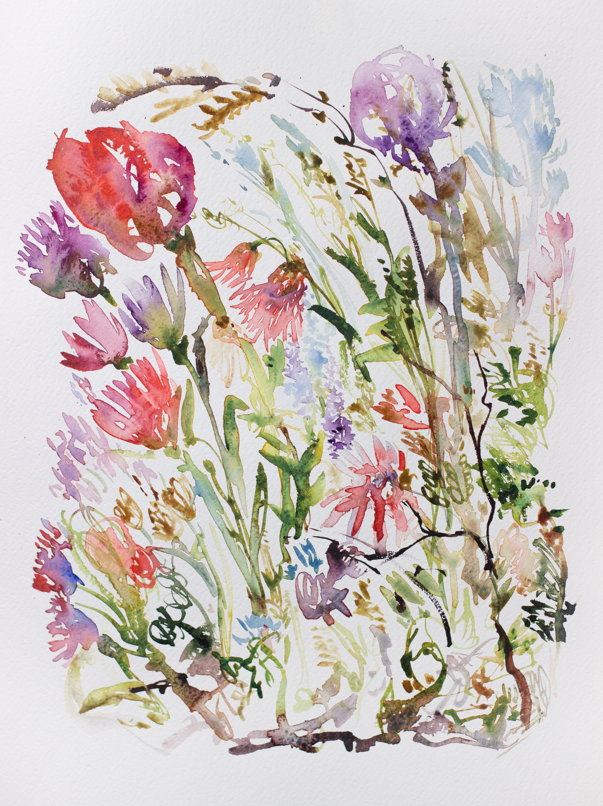 Väritetty akvarellimaalauksellinen kuva erilaisista kukista ja kasveista, joissa on punaisia, pinkkejä, lilaa, sinistä ja vihreitä sävyjä.