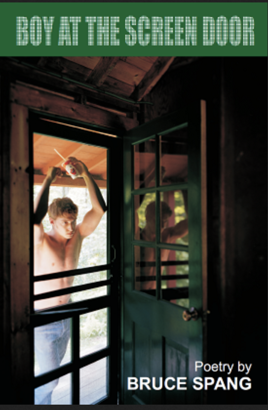 Boy at the Screen Door