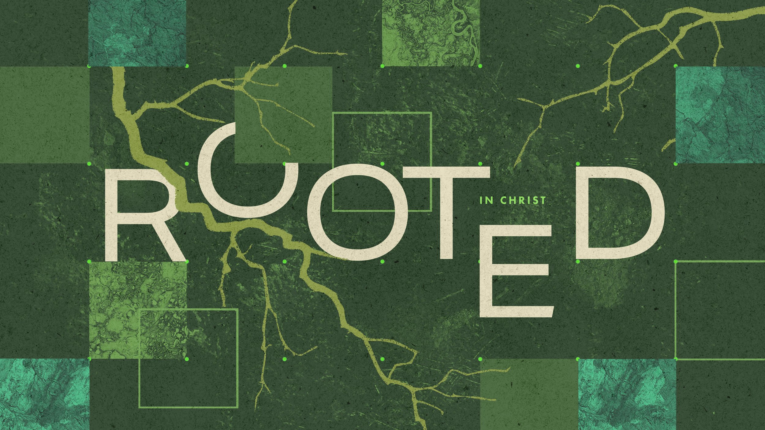 Rooted Week 3 FATHER’S DAY