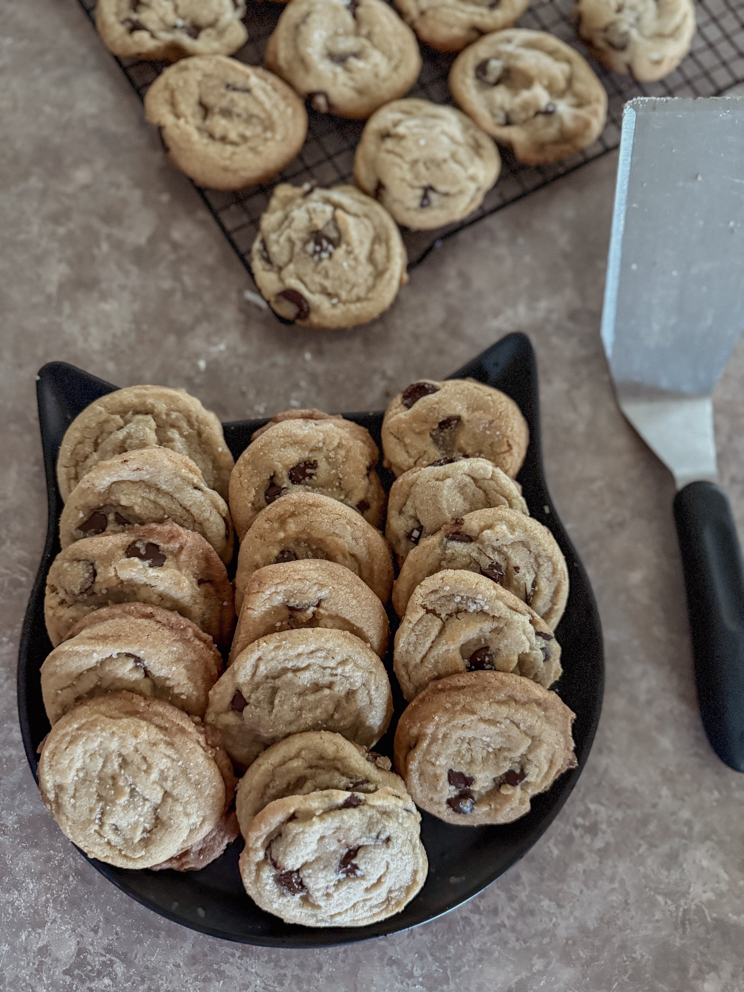 GUESS WHO’S BIRTHDAY!!