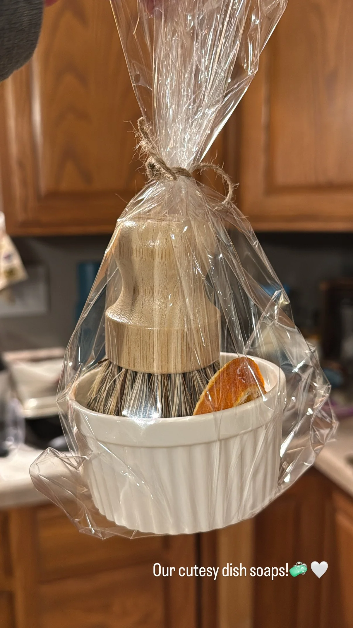 A Cozy Winter Pause at the Funny Farm! By: Gone Homesteadin’ 