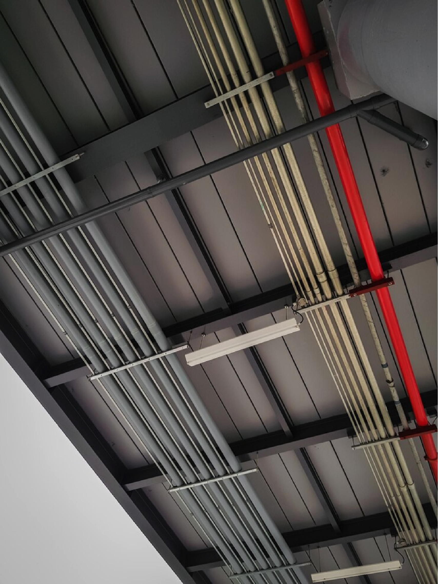 Ceiling of an industrial building showing metal pipes, conduits, and fluorescent lights.