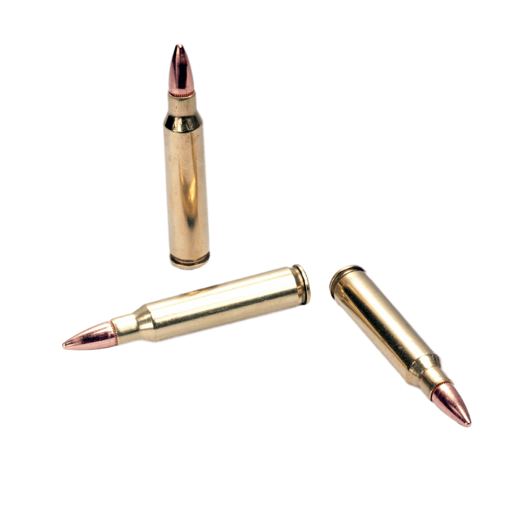 .223 Rem. 55 gr. FMJ Certified Select SVA image.png