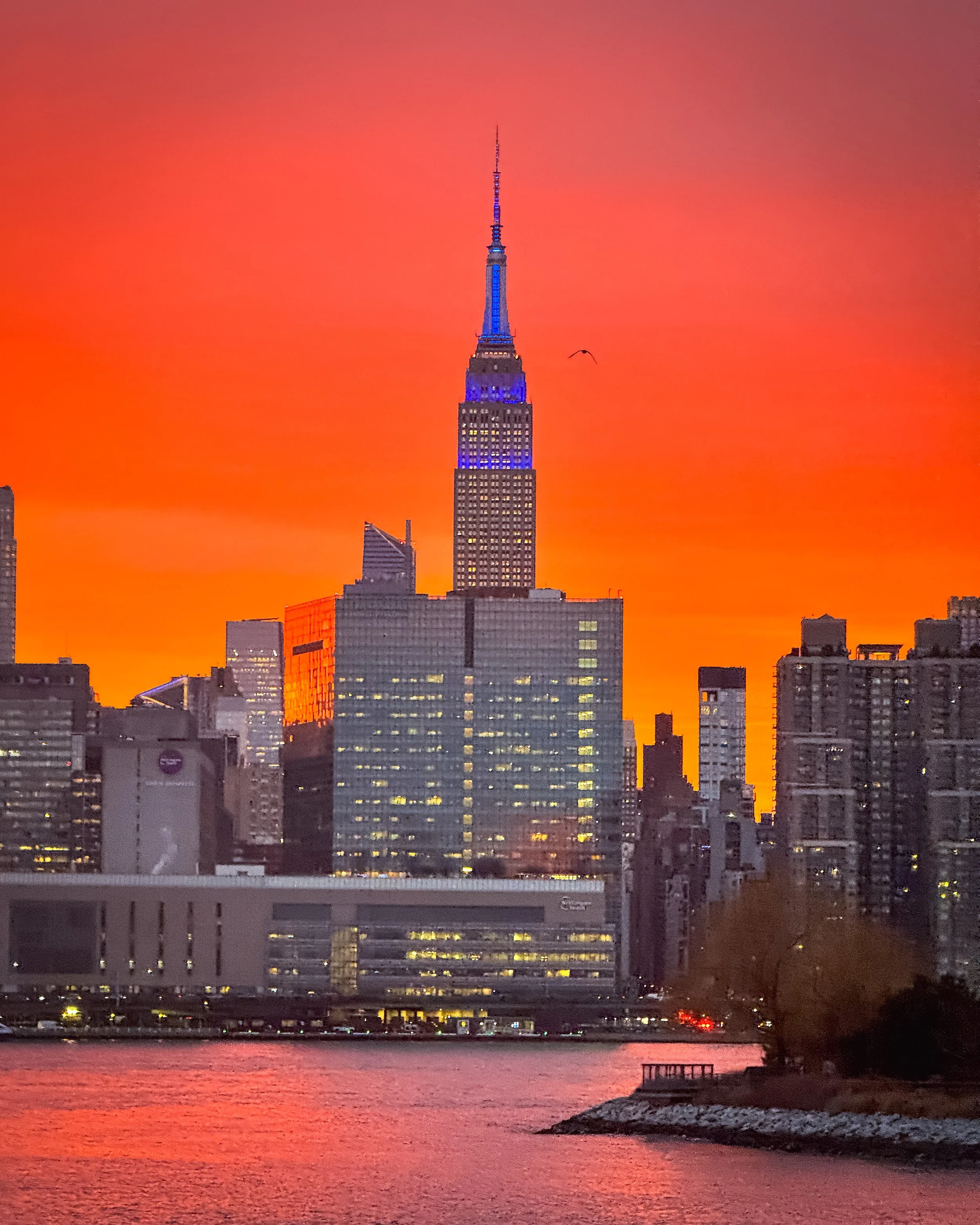 Knicks in Skies