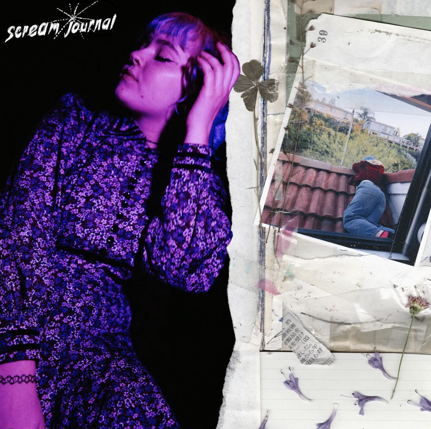 Scream Journal_9.png