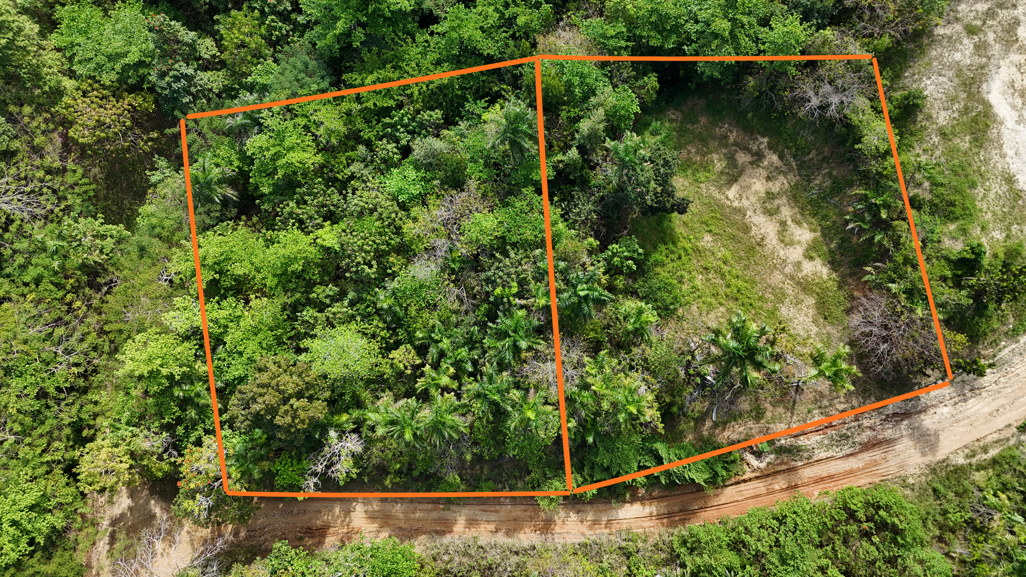 Aerial view of a wooded plot of land outlined with orange lines, showing dense trees, a small cleared area, and a dirt road at the bottom.