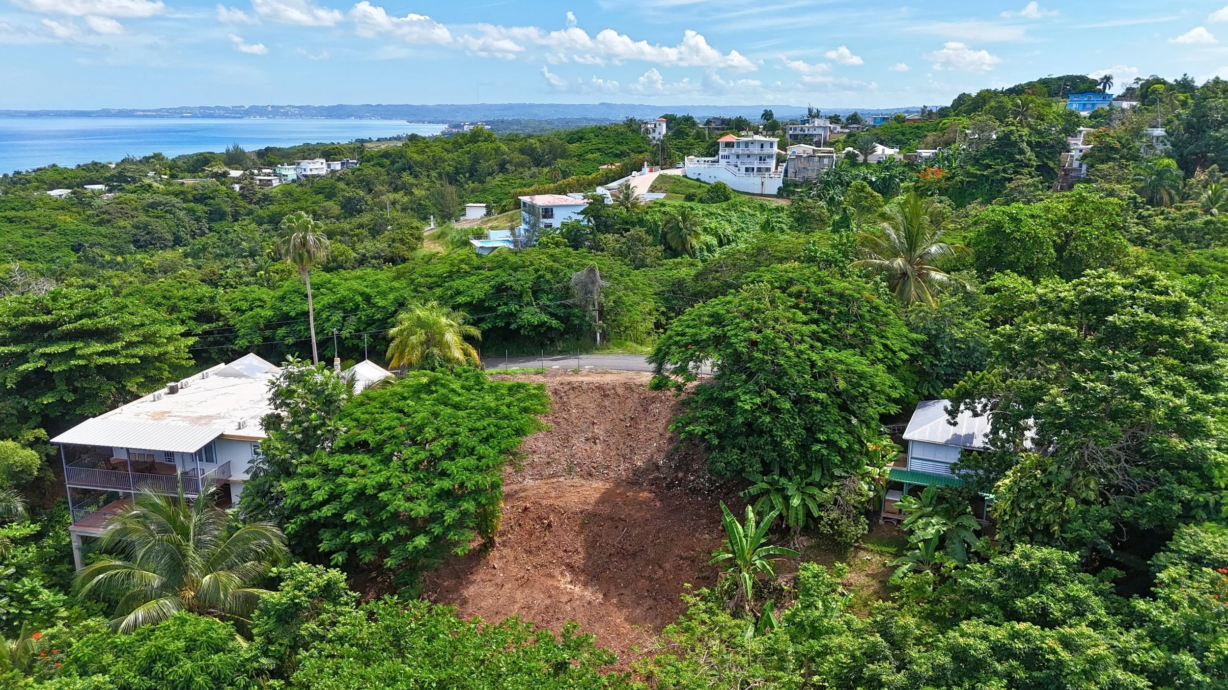 An aerial view of a lush green area with dense trees, a house with a white roof, a road, and some parked cars.