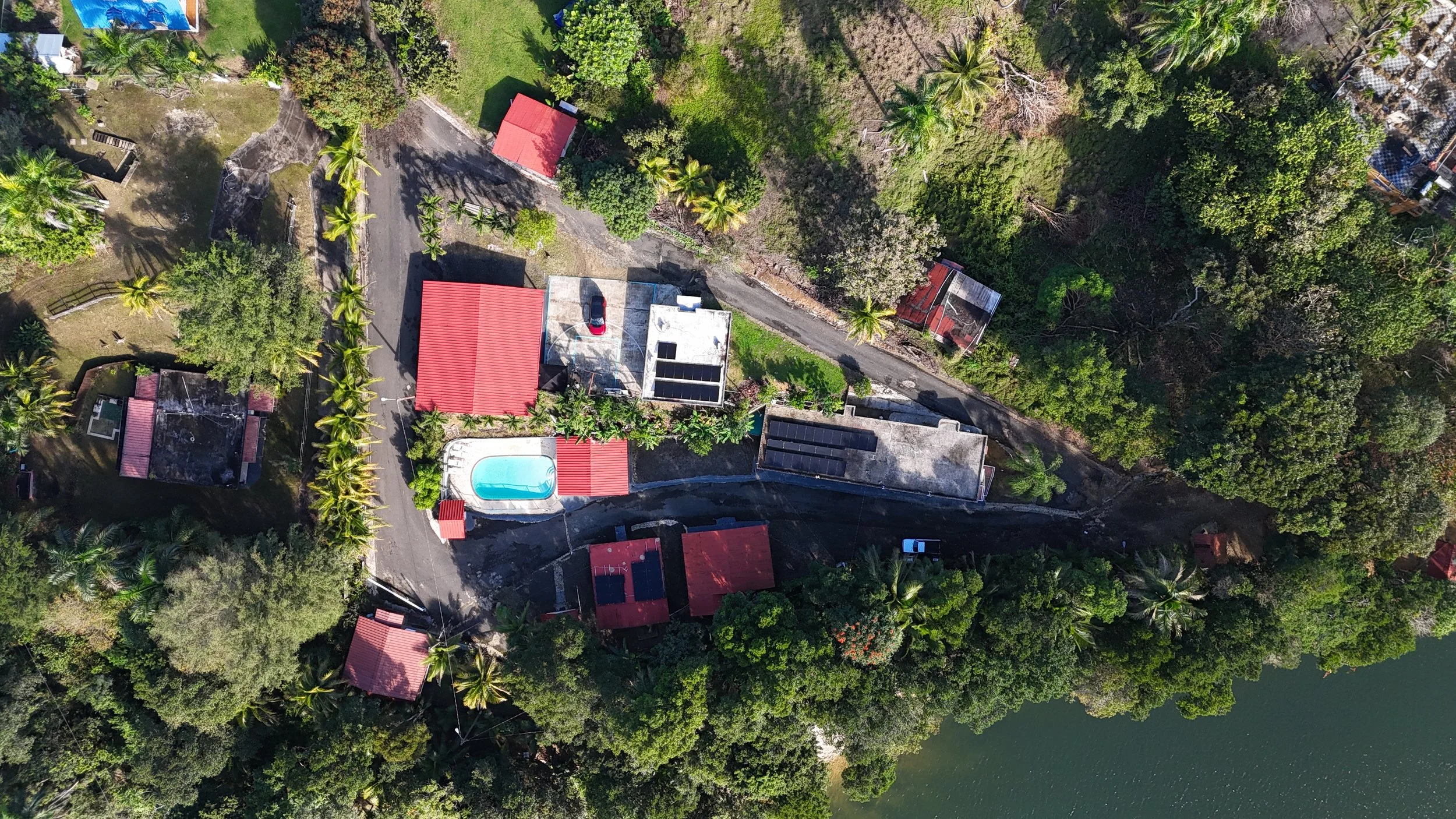 A brightly colored building painted with blue murals, featuring three small windows with black frames and shutters, a small balcony with railings, and surrounded by lush green plants including palm trees.