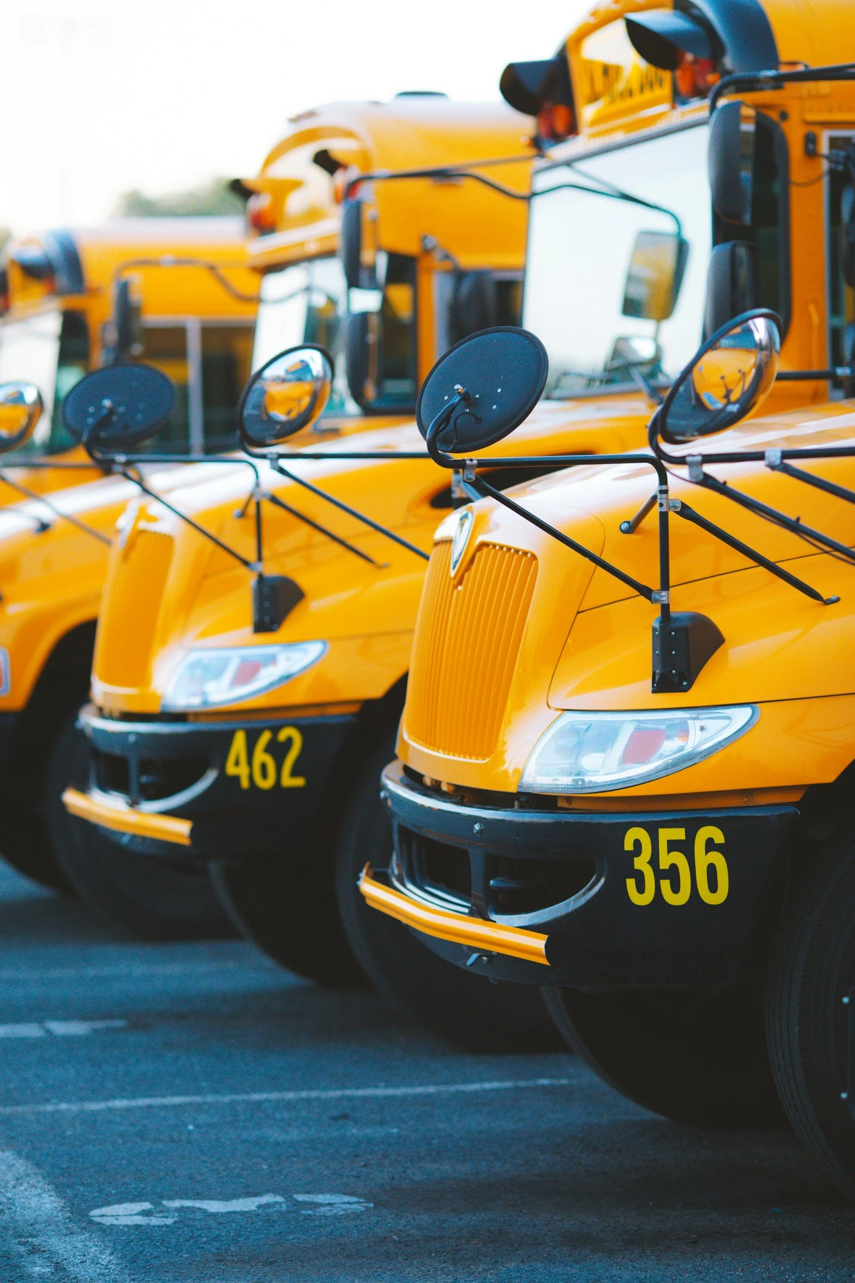 A row of yellow school buses parked in a lot, with focus on the front of two buses numbered 462 and 356.