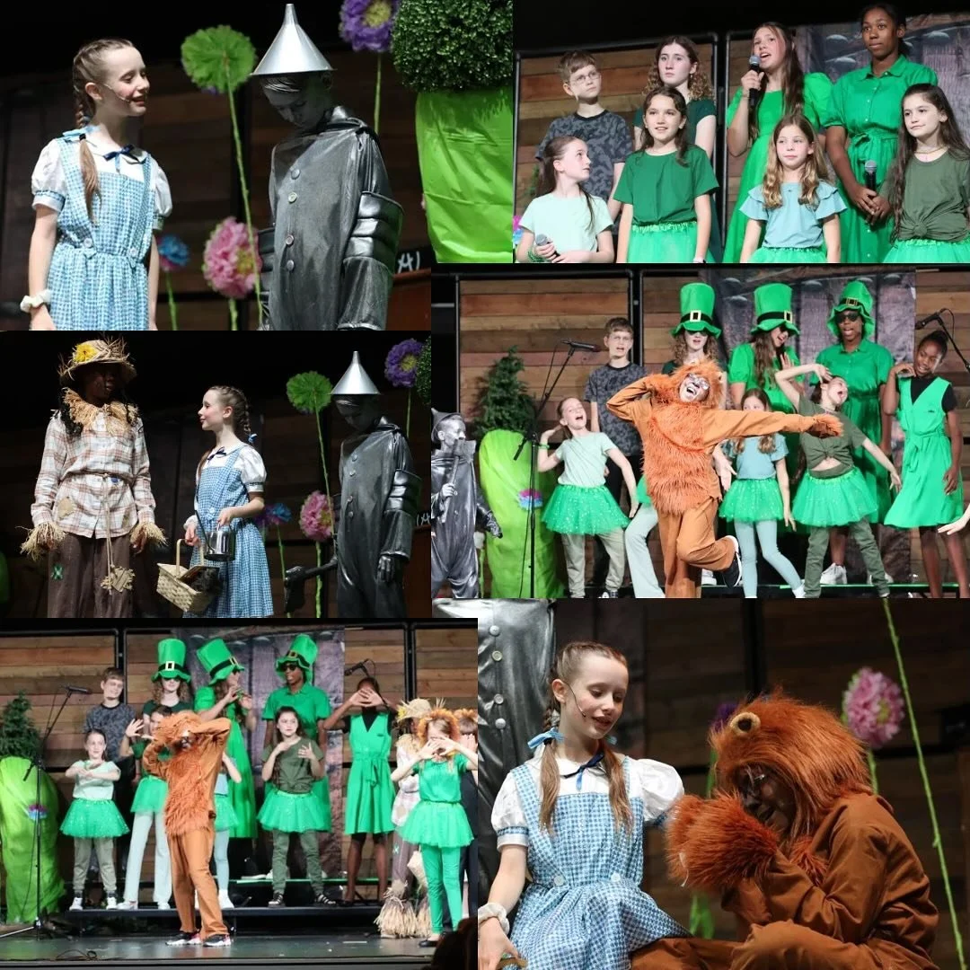 Learning to Use Our Brains: A Wellness Perspective on the Arts