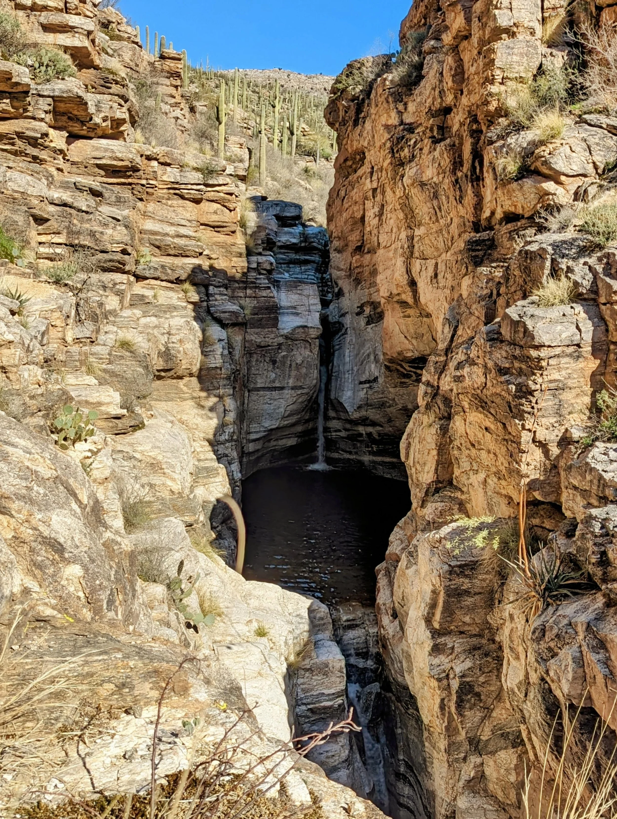 A narrow canyon with rugged rock walls and a small waterfall flowing into a dark pool at the bottom, with desert plants like cacti and small bushes along the rocks.