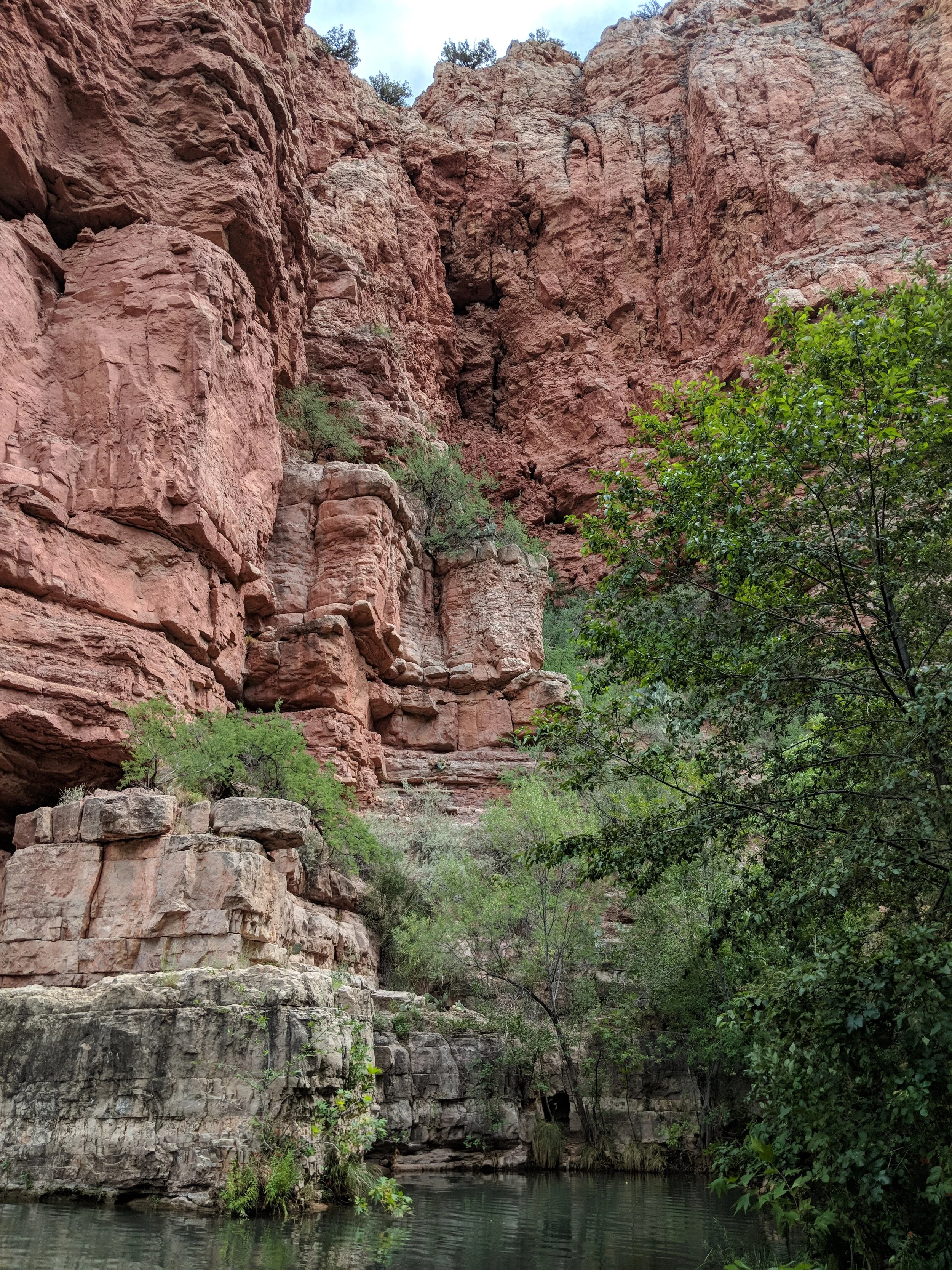 Red rock canyon walls with green trees and water at the base.