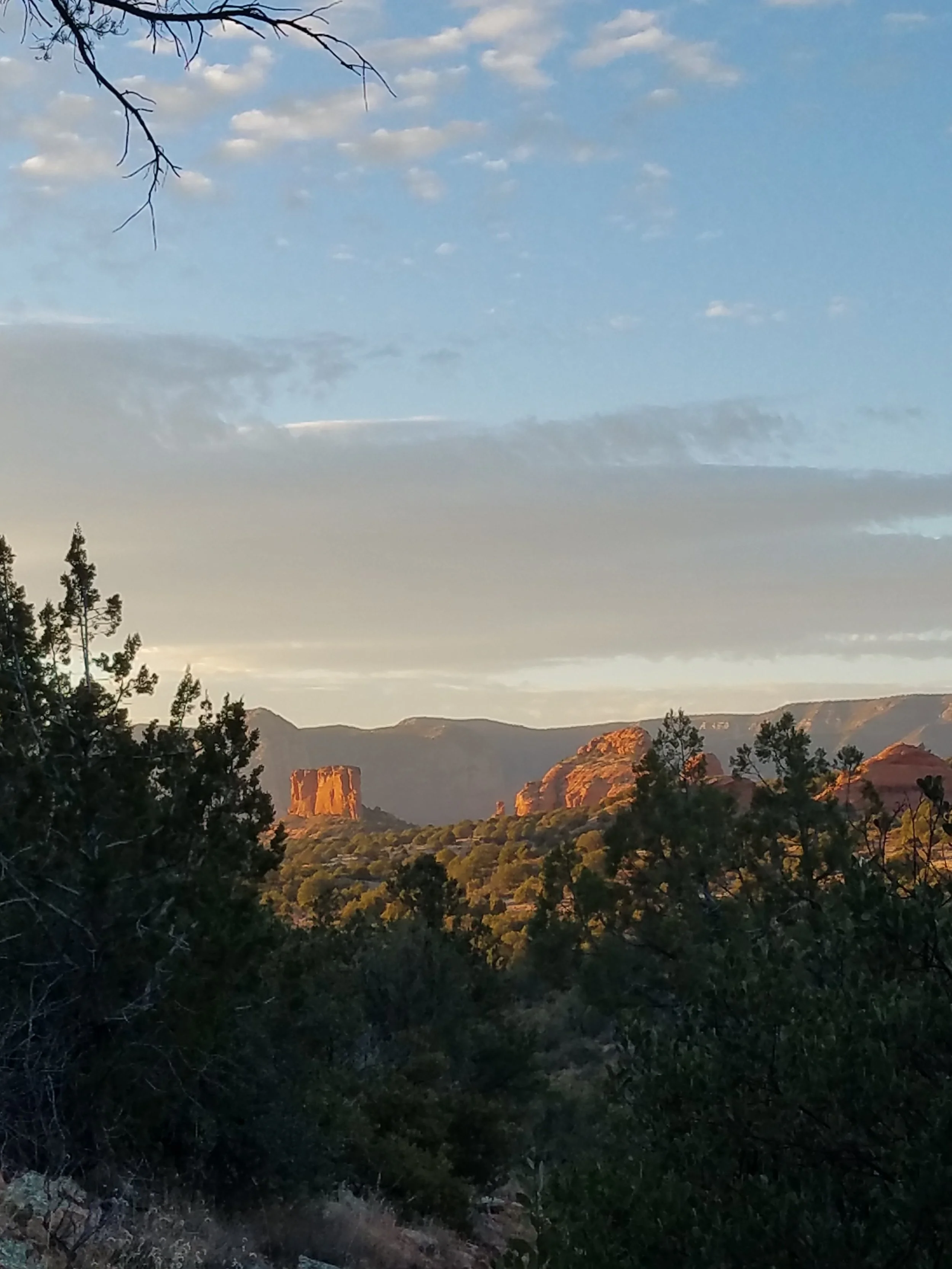 A desert landscape with rock formations, trees, and a partly cloudy sky during sunset.