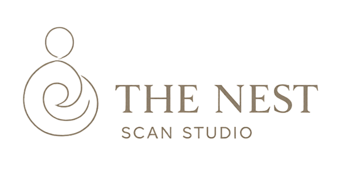 The nest scan studio