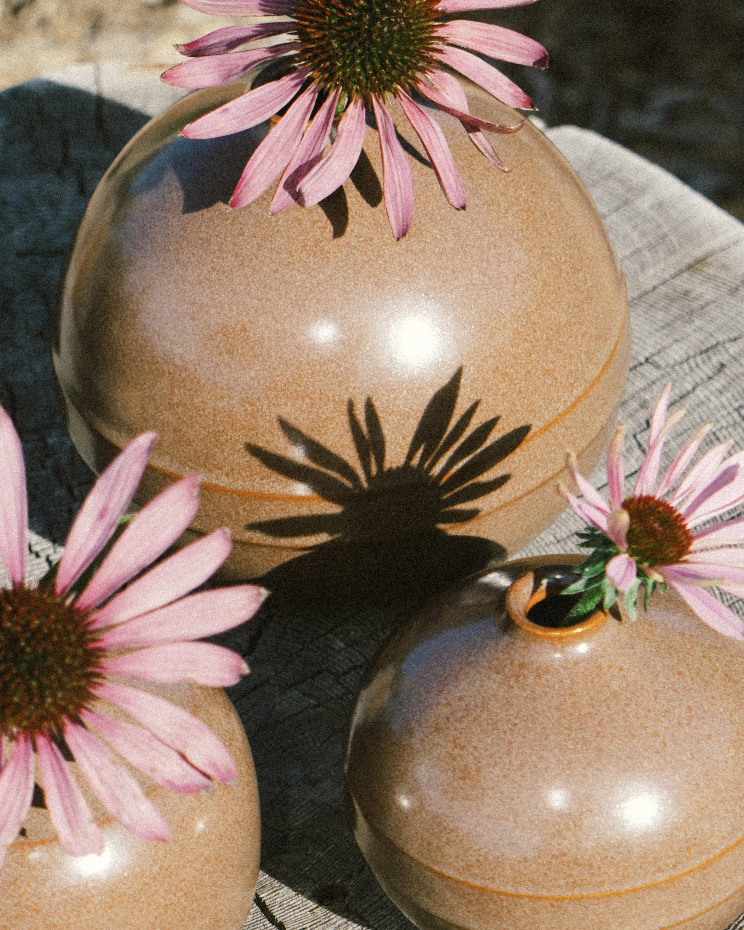 Bulb Vases, photographed by Brit Savage - 2024