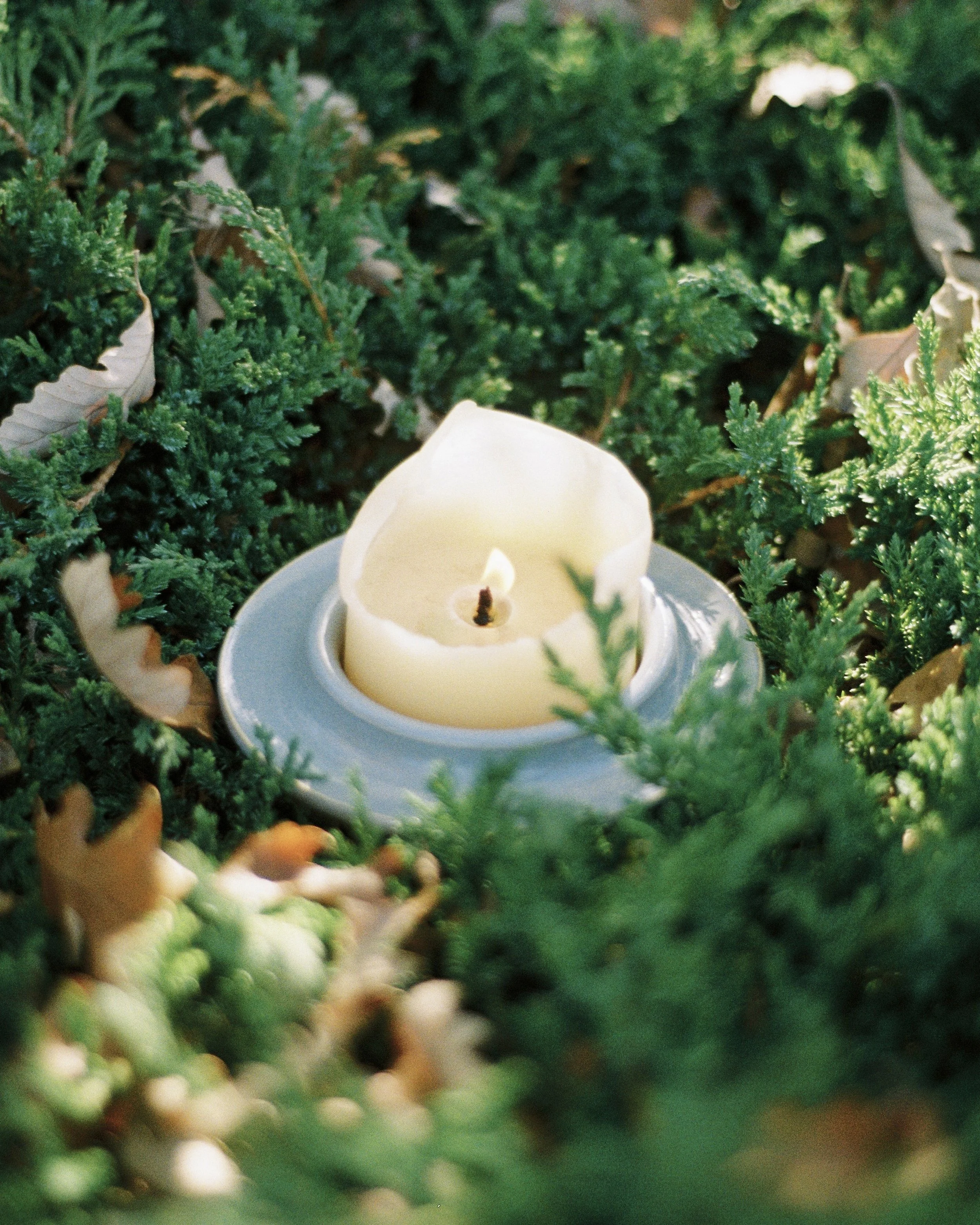 Candle Plate, photographed by Brit Savage - 2024