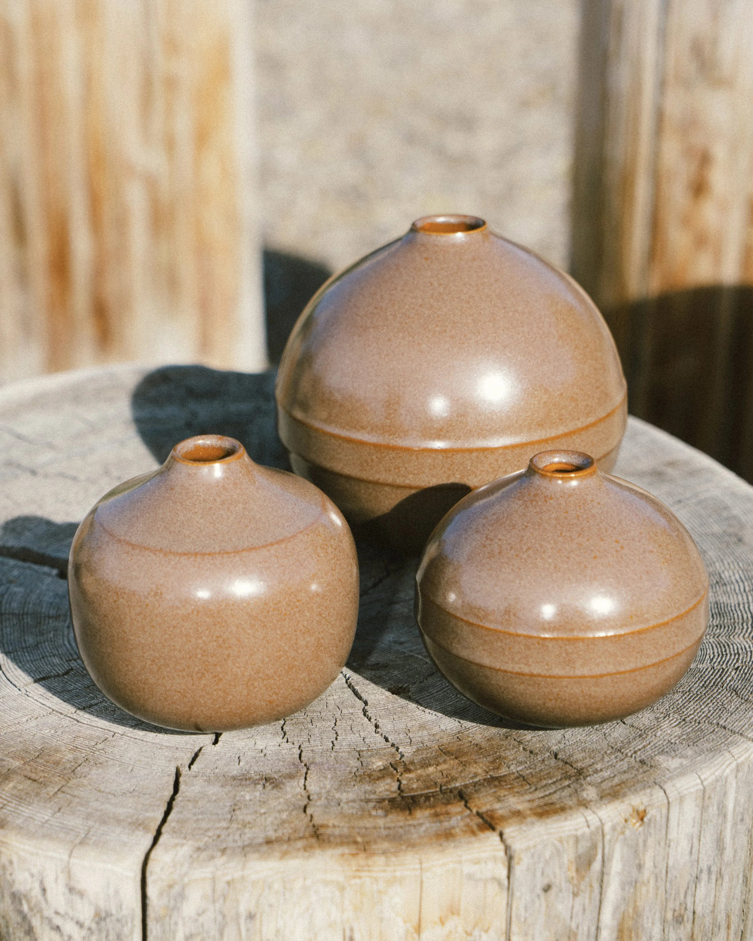 Bulb Vases, photographed by Brit Savage - 2024