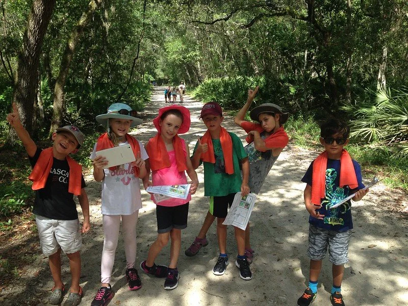 Forest Expeditions