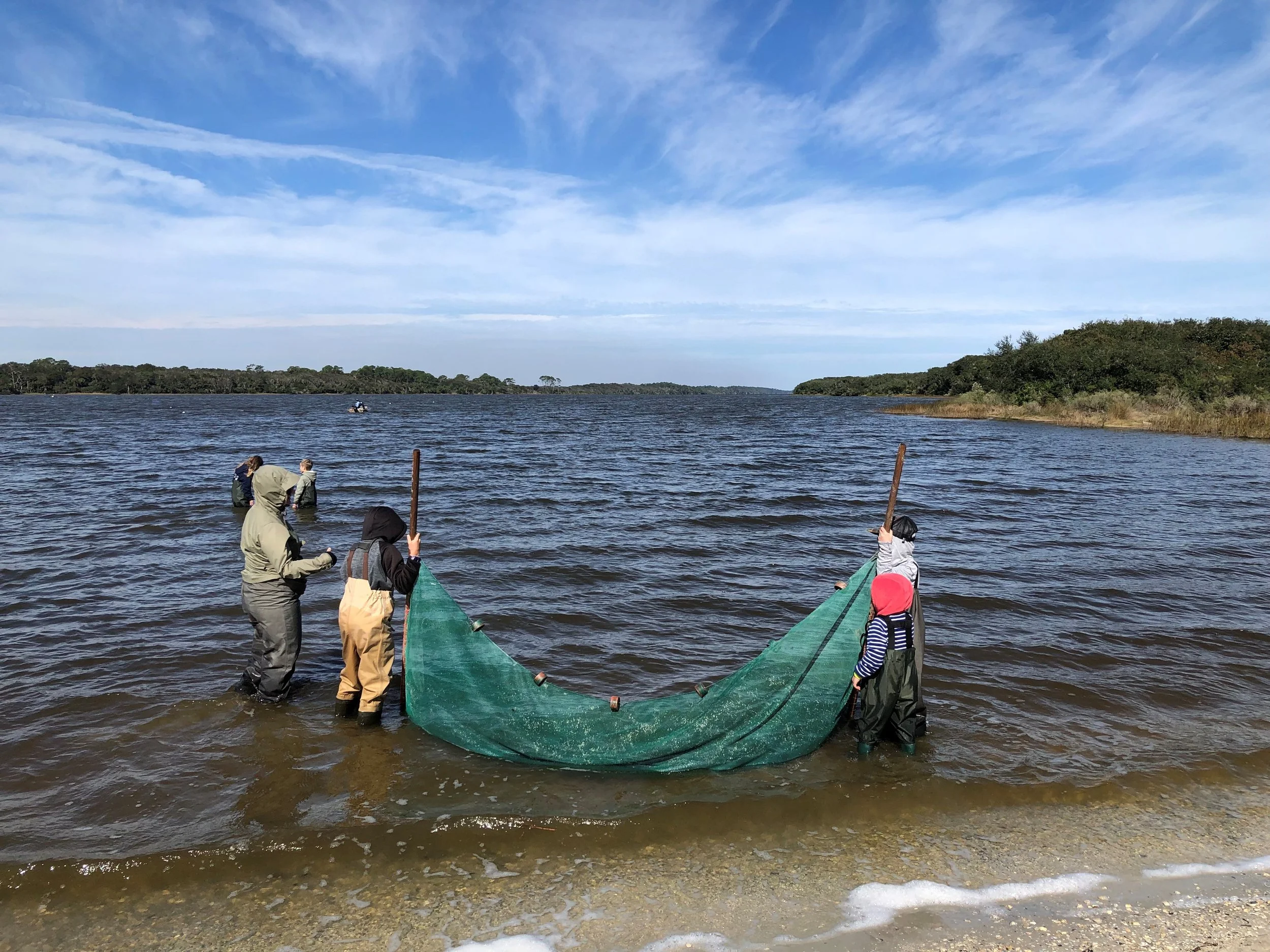 Salt Marsh Seining - Elementary