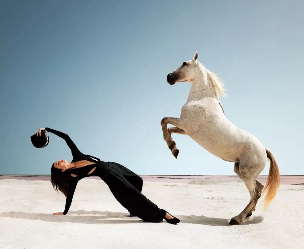 Luxury Communications Council