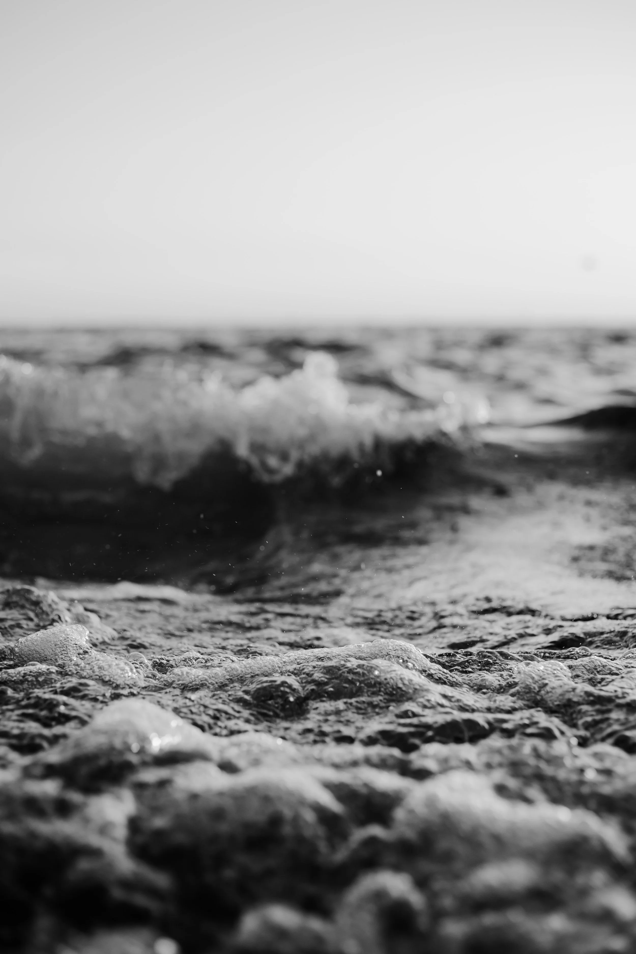 Wave Wrangler