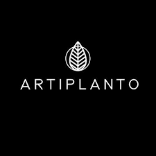 Logo with a leaf icon and the words ARTIPLANO beneath it on a black background.