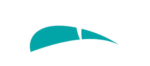 Pega Transparent logo.png