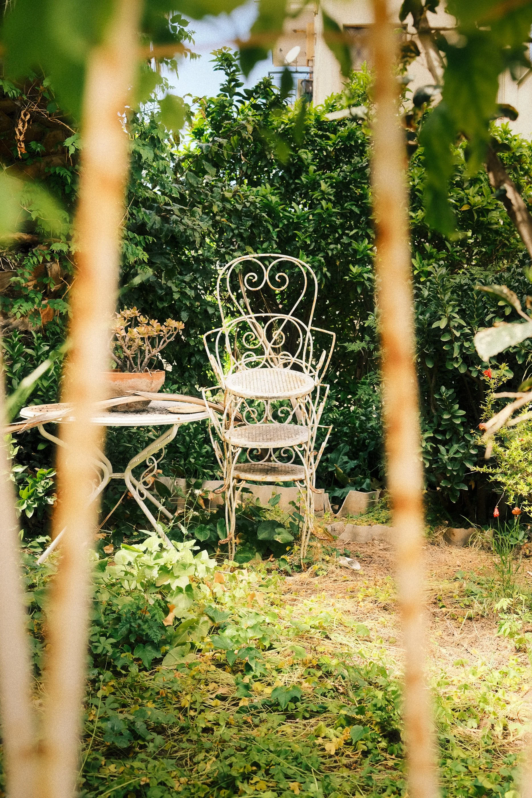 A white ornate metal chair and a small table in a lush garden, viewed through a metal fence, with greenery and plants surrounding the area.