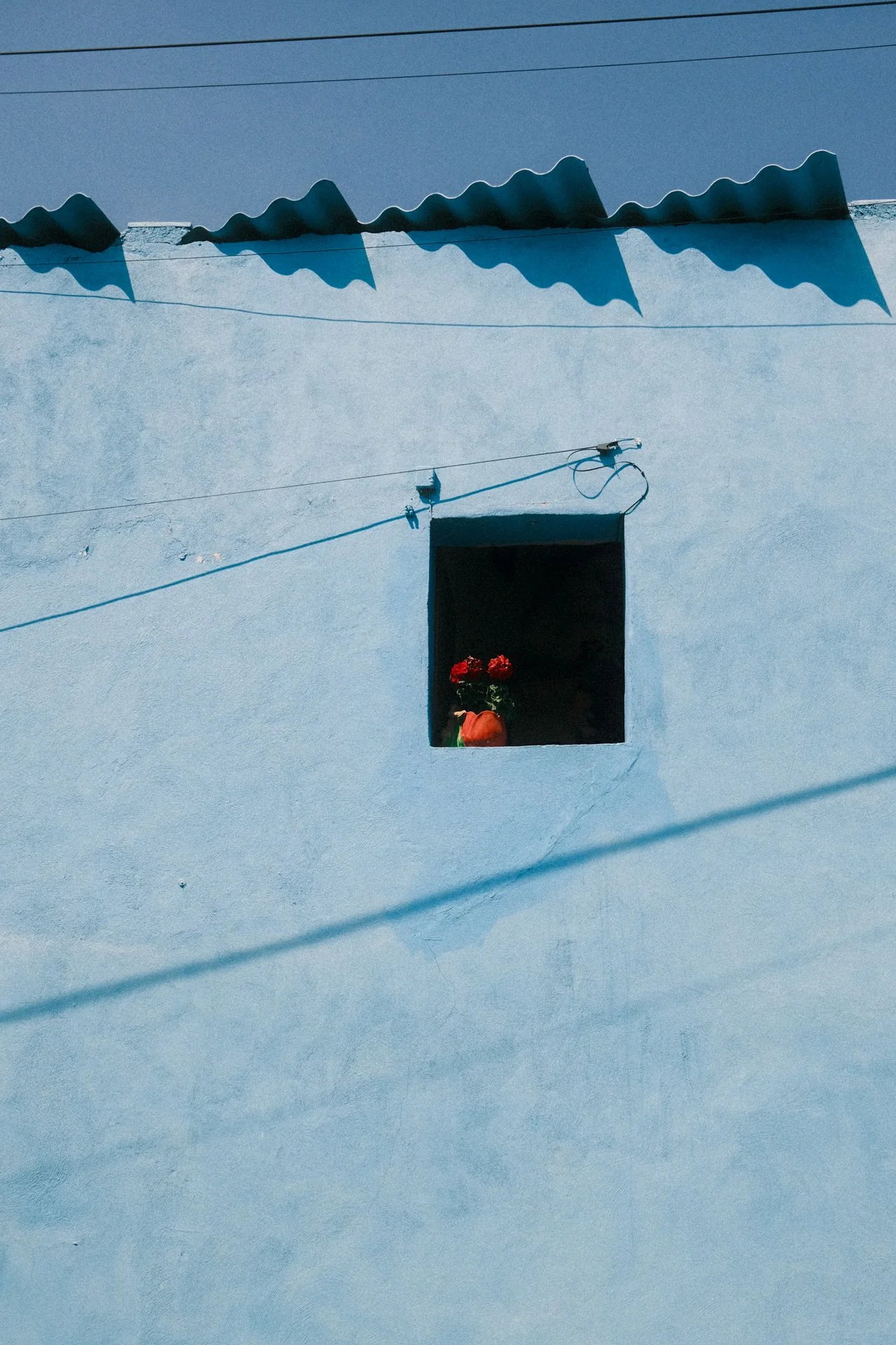 A blue wall with a small window holding a potted plant with red flowers, shadows, and a roof with wavy tiles.