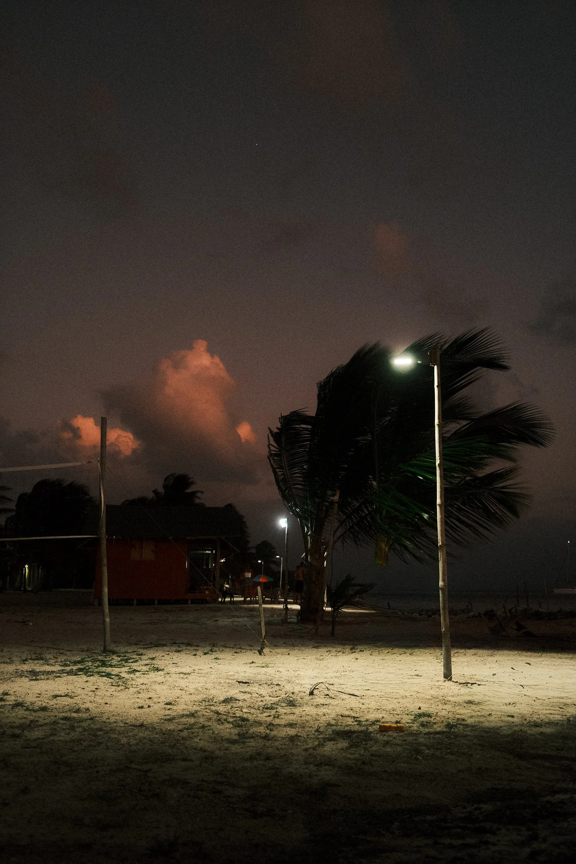 A beach scene at night with sand, a large wind-blown palm tree, and a wooden house in the background. The sky is dark with a few clouds, and there are streetlights illuminating parts of the beach.