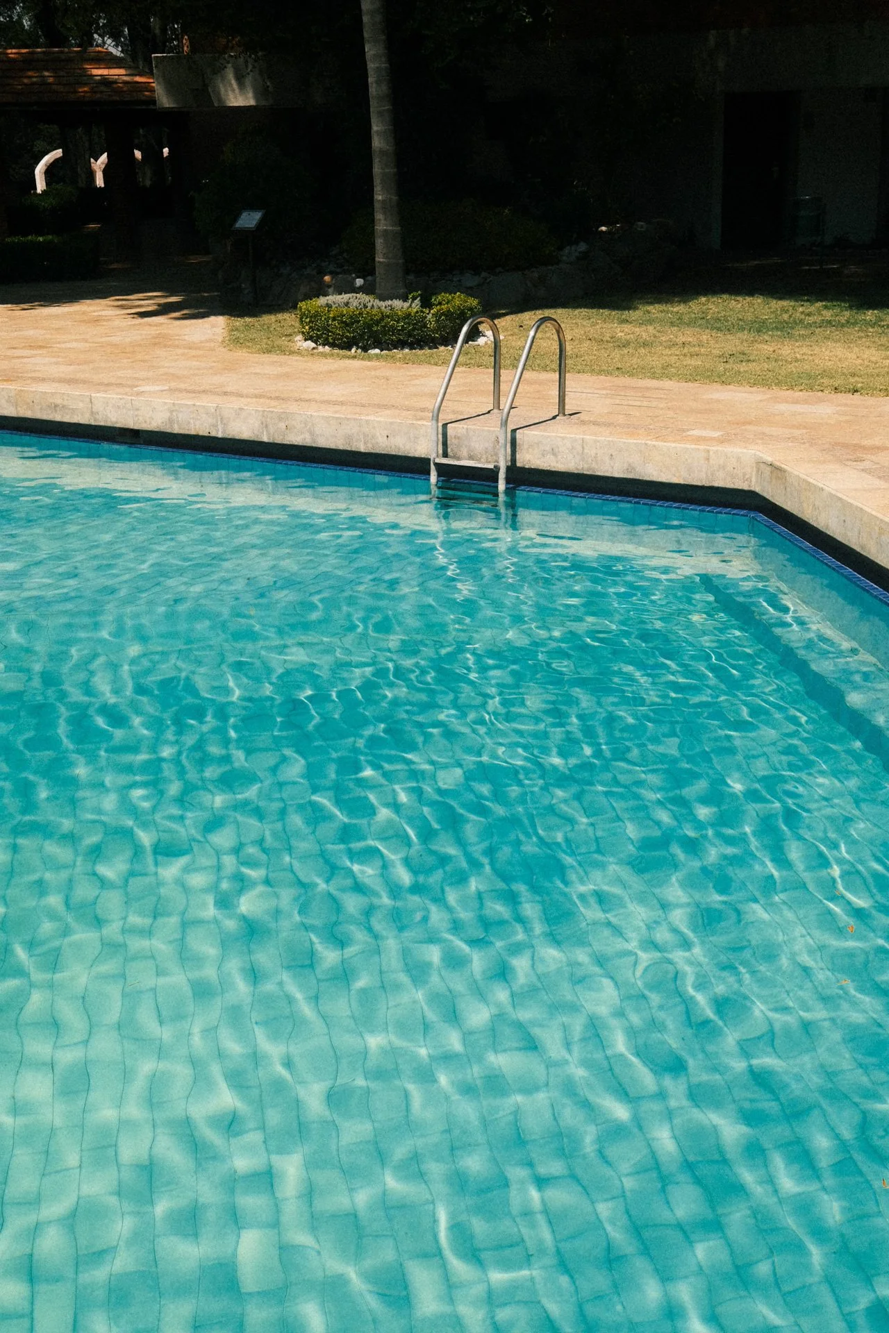 Swimming pool with clear water, metal ladder at the edge, surrounded by a concrete deck and green grass, with trees and dark shadows in the background.