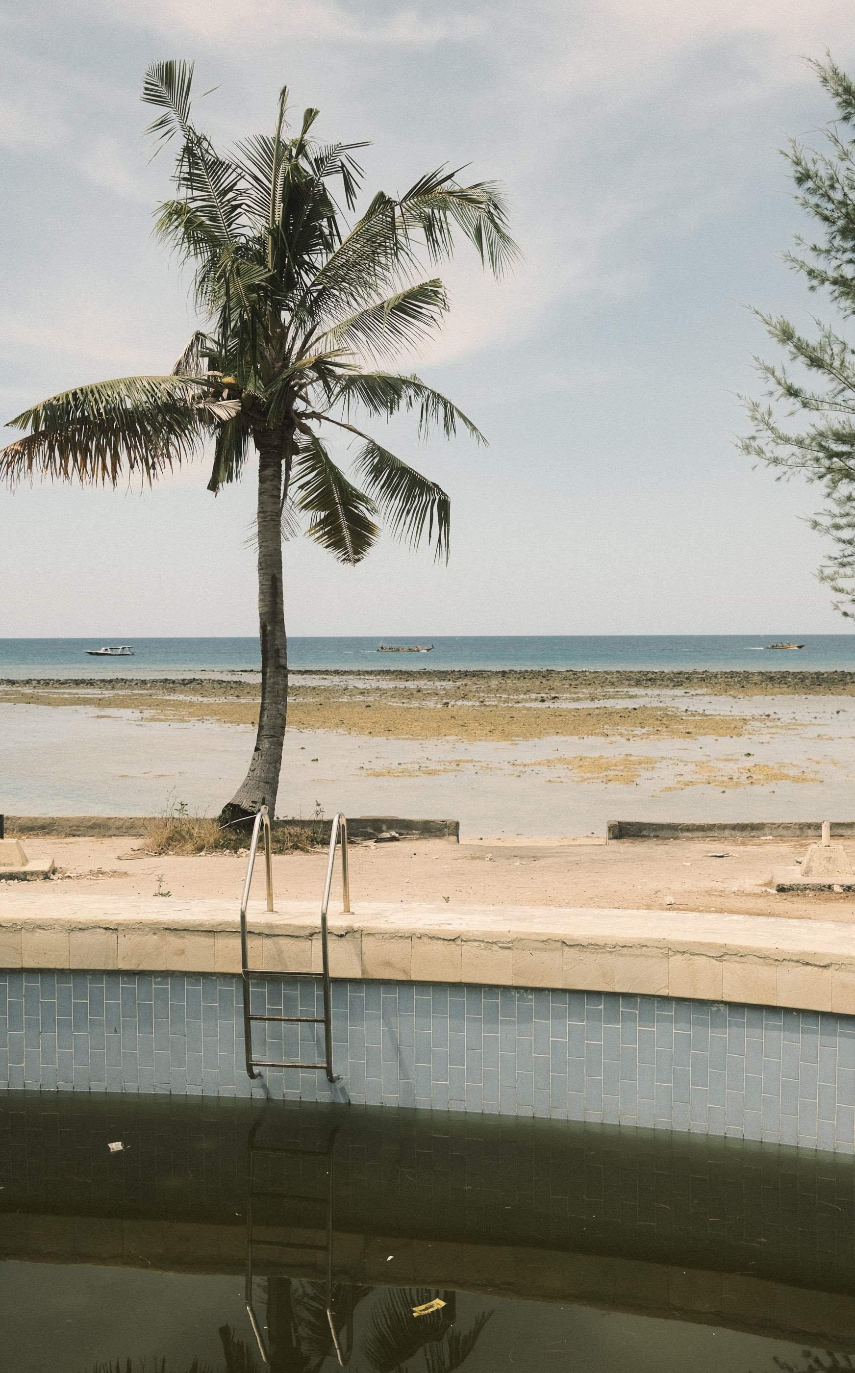 A beach scene with a leaning palm tree near an empty swimming pool, looking out to the ocean with boats on the water.