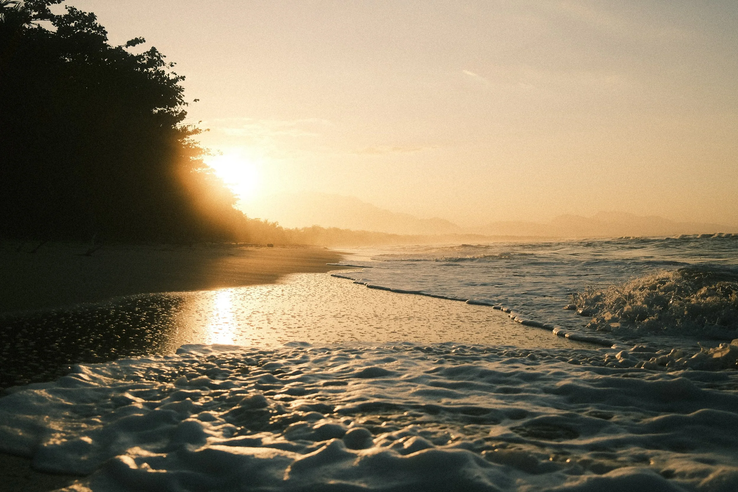 Sunset over the ocean with waves washing onto a sandy beach lined with trees.