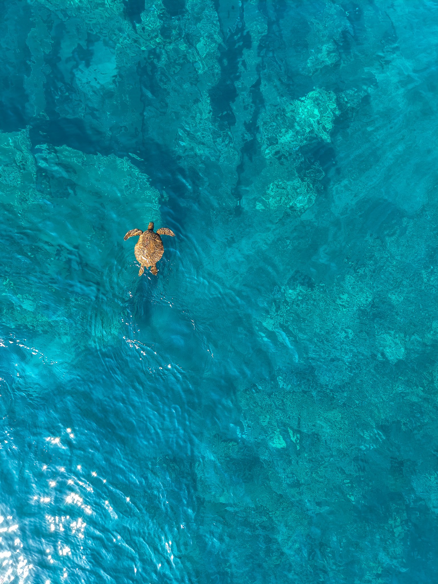 DJI_20260507115529_0442_D.jpg