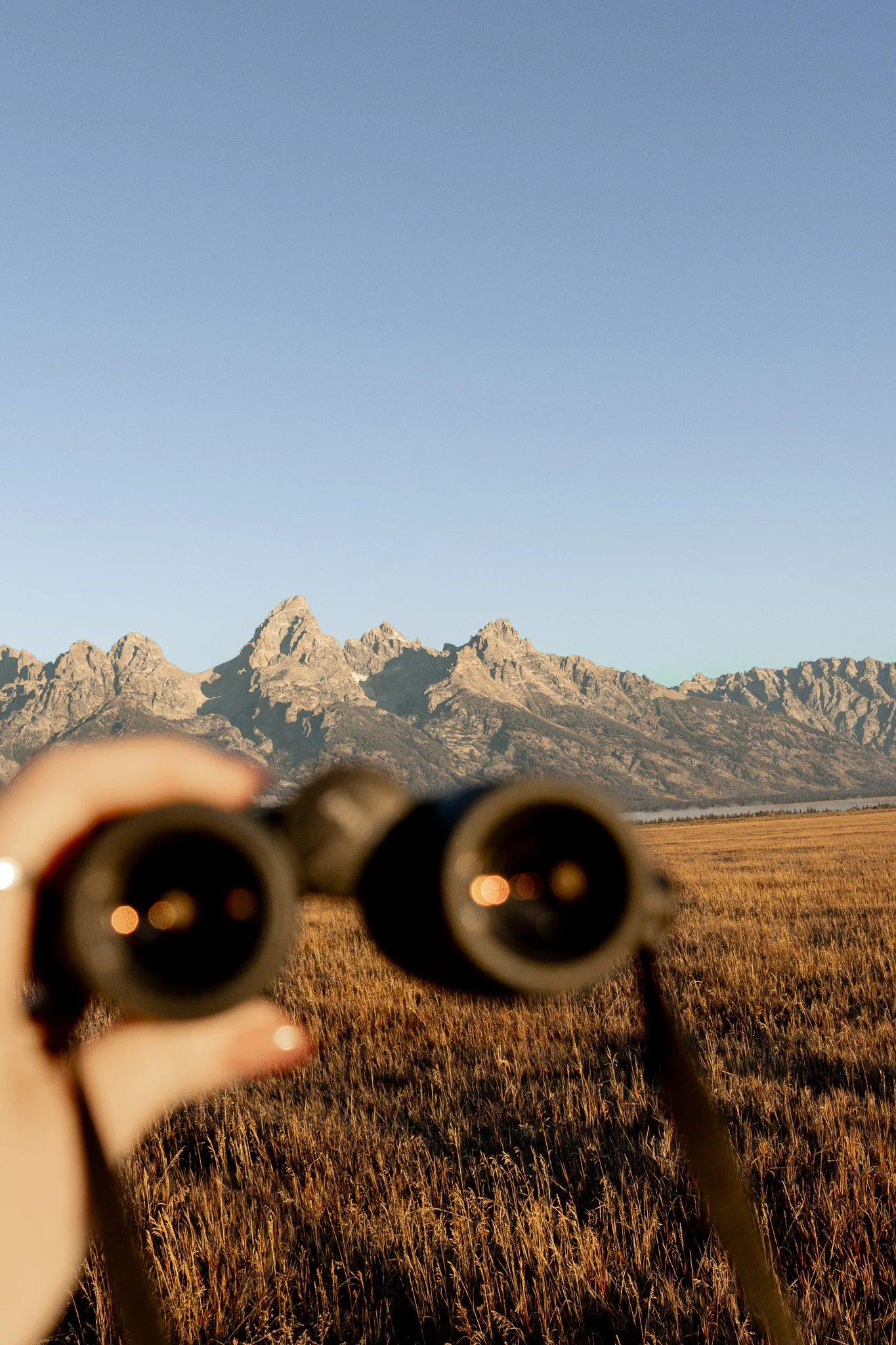 A person holding binoculars in front of a mountain landscape with a clear blue sky.