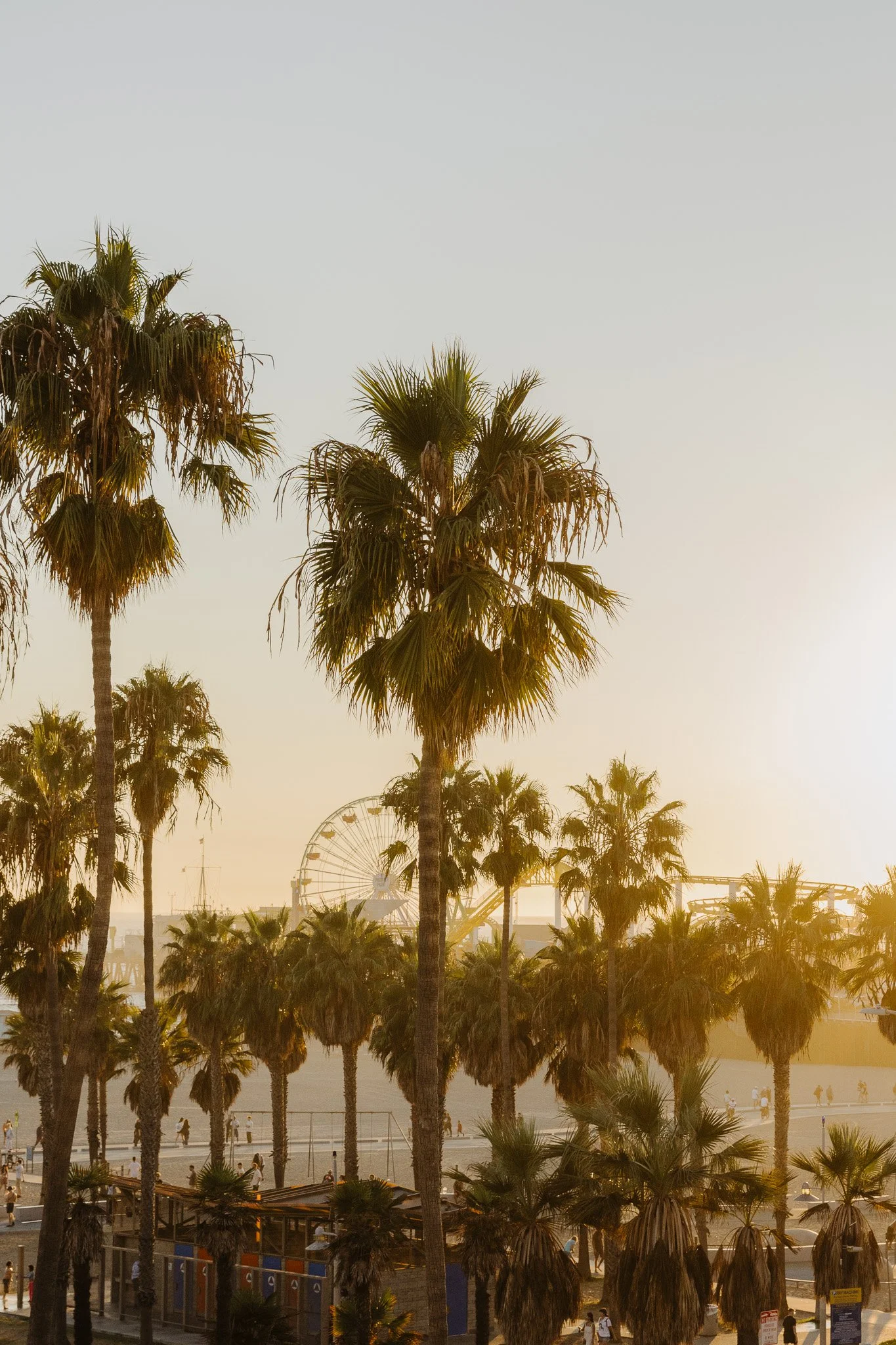 Sunset scene at an amusement park with palm trees, a Ferris wheel, and people walking nearby.