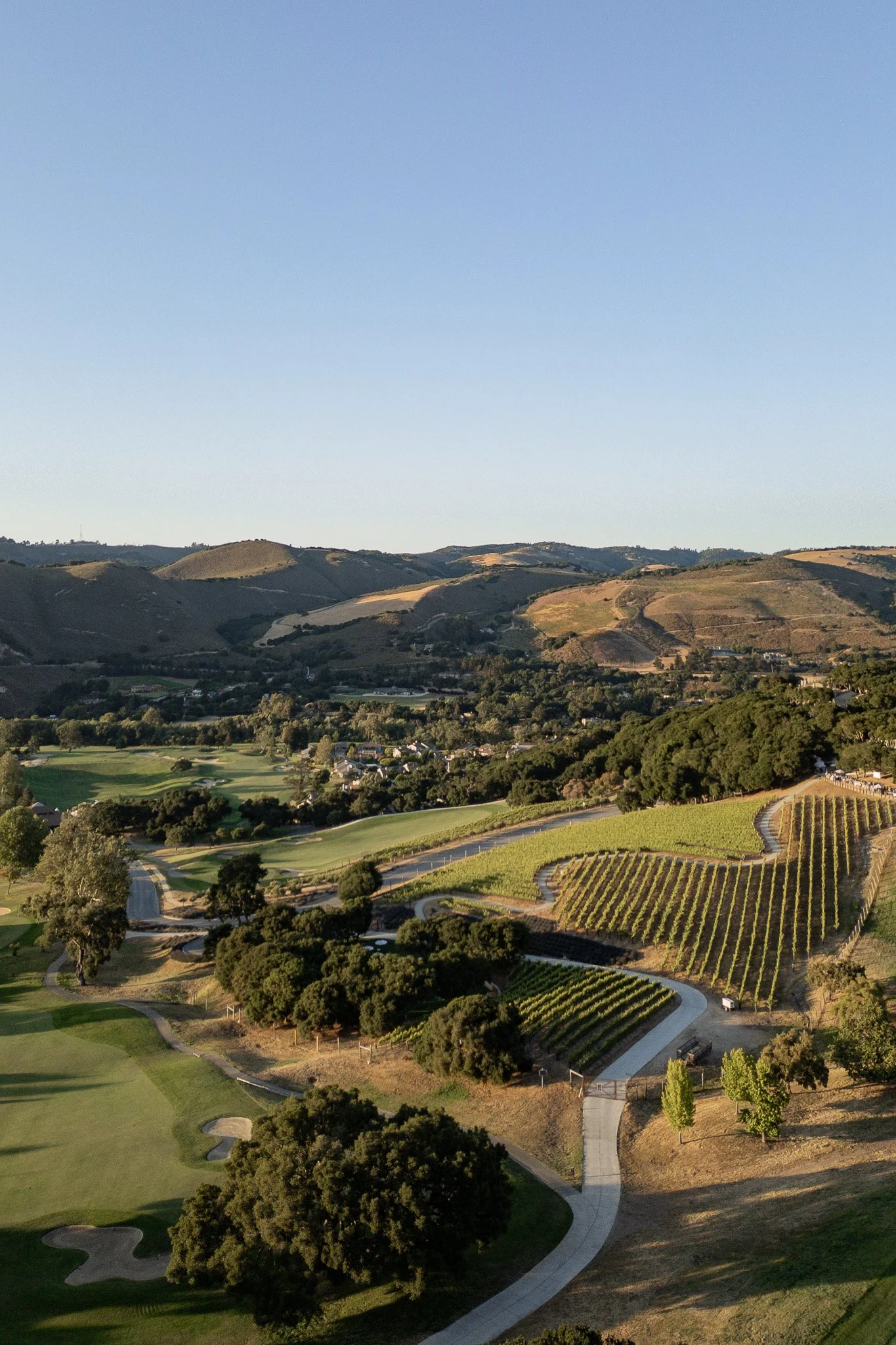 DJI_0772.jpg