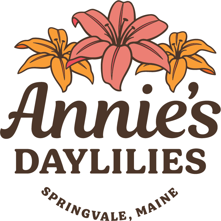 Annie's Daylilies