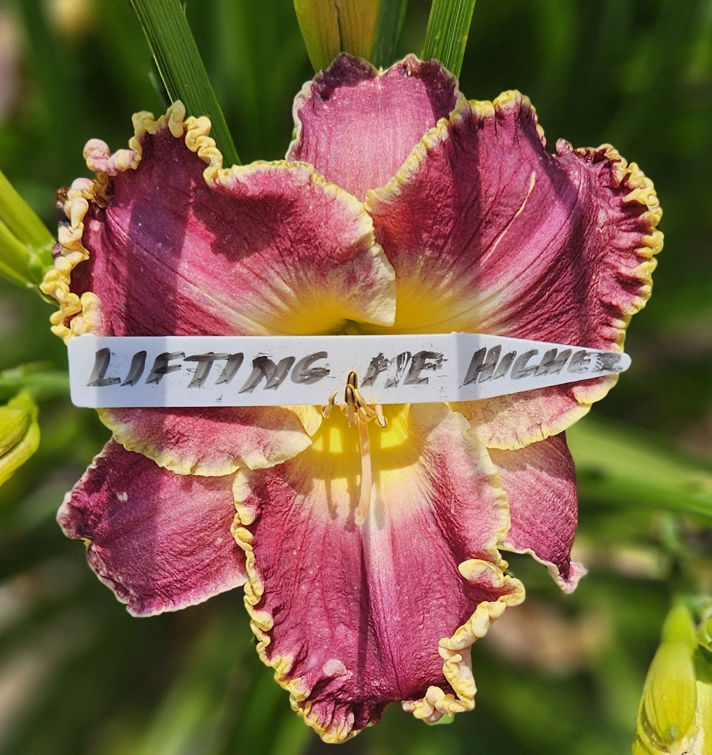 Lifting Me Higher