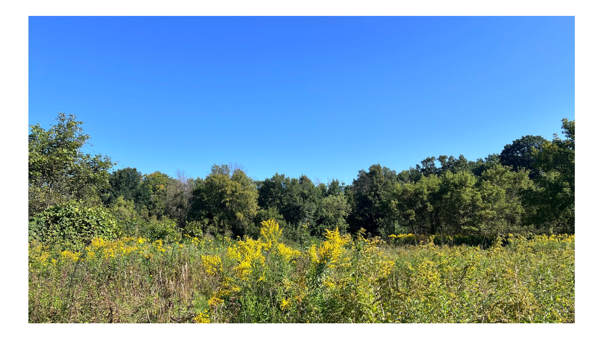 women's campsite in western Wisconsin