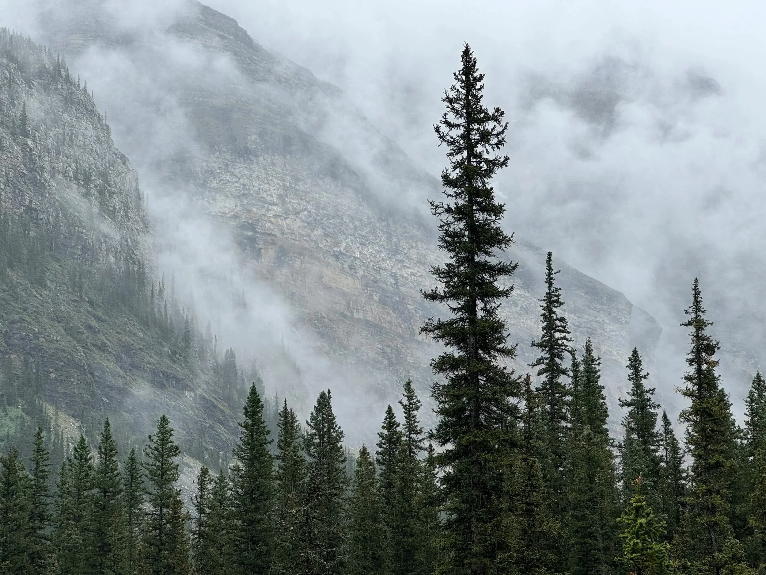 The Highest Mountains 