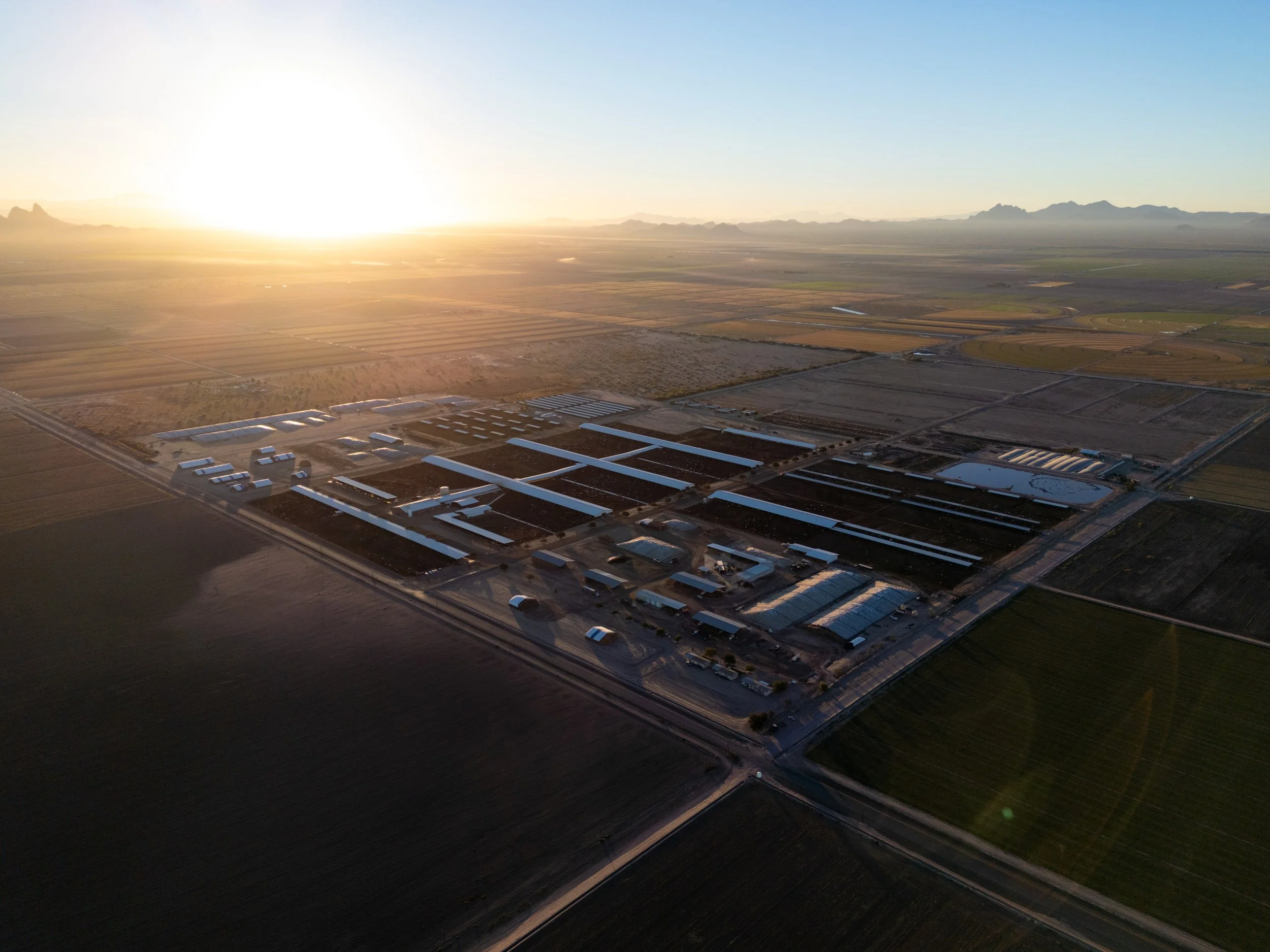 Aerial view of agricultural land and greenhouses at sunrise, with mountains in the background.