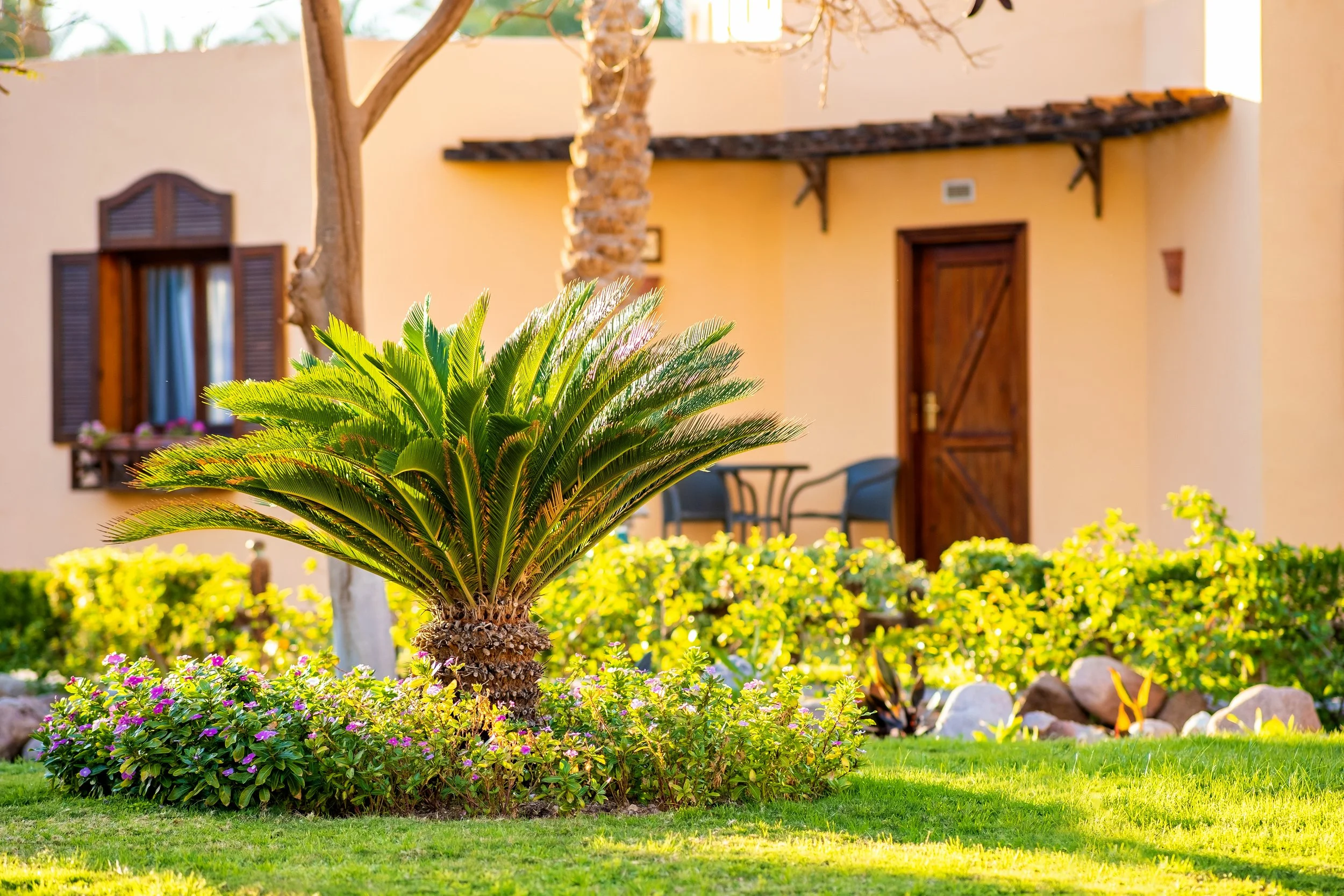 Why Professional Lawn Mowing &amp; Edging Makes a Big Difference