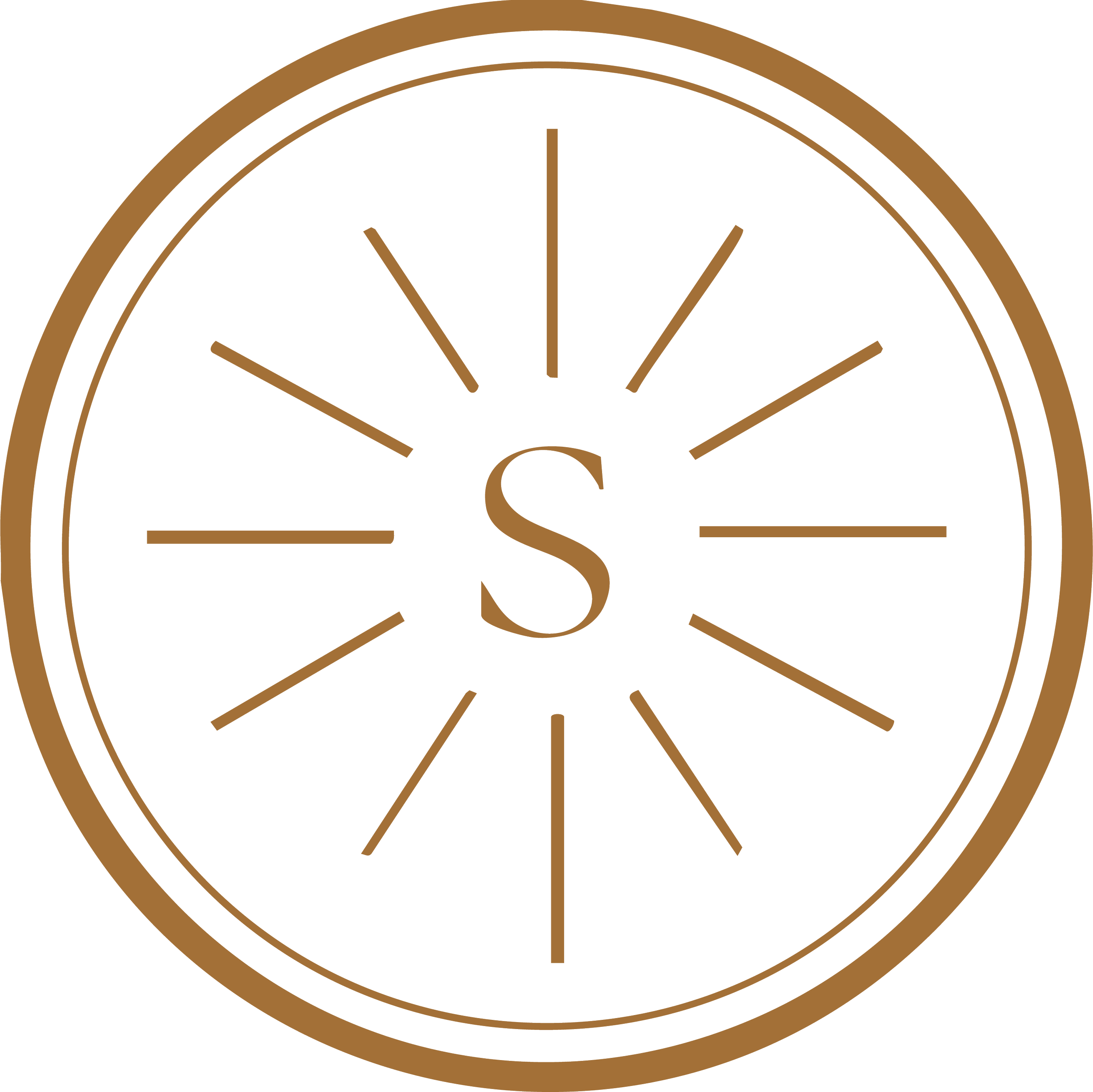 Soul Shine Skincare logo
