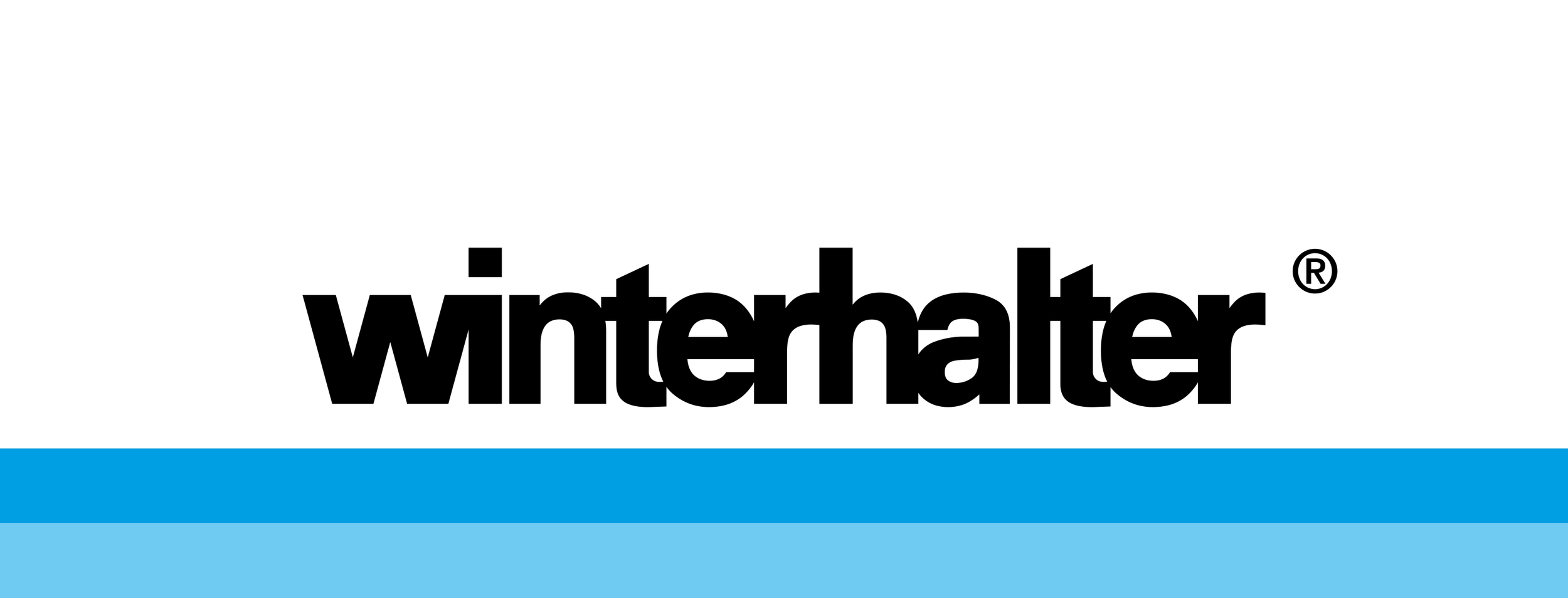 Winterhalter-Logo-sRGB-300dpi_picture_INT.png