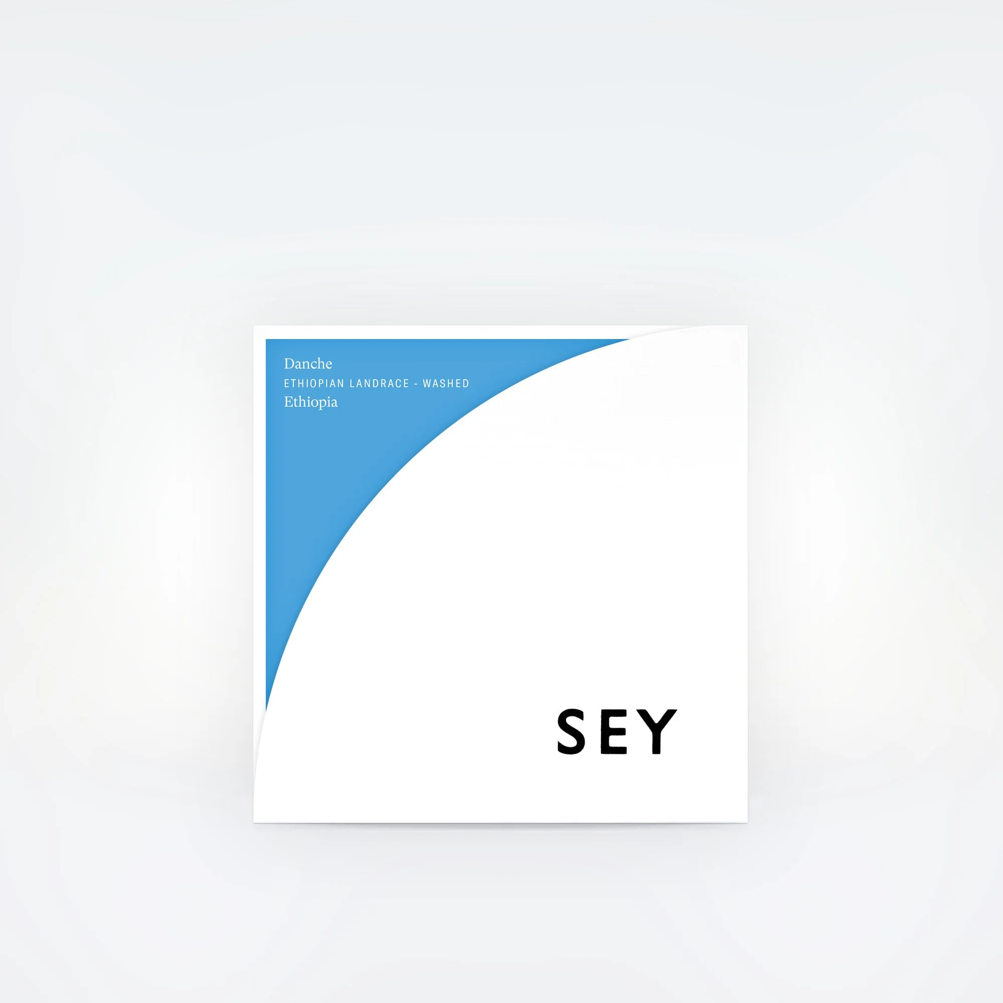 SEY-Danche-Bad-Mother.jpg