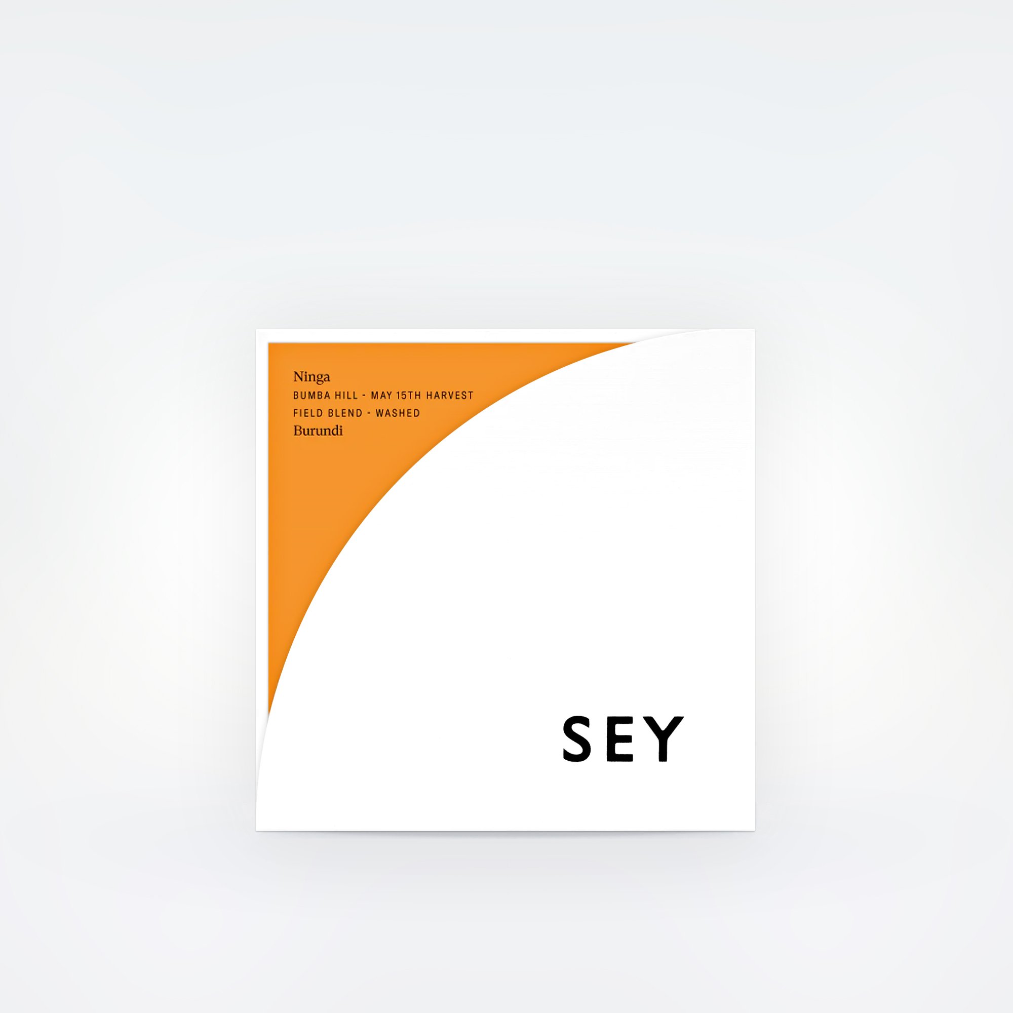 SEY-Ninga-Bad-Mother.jpg