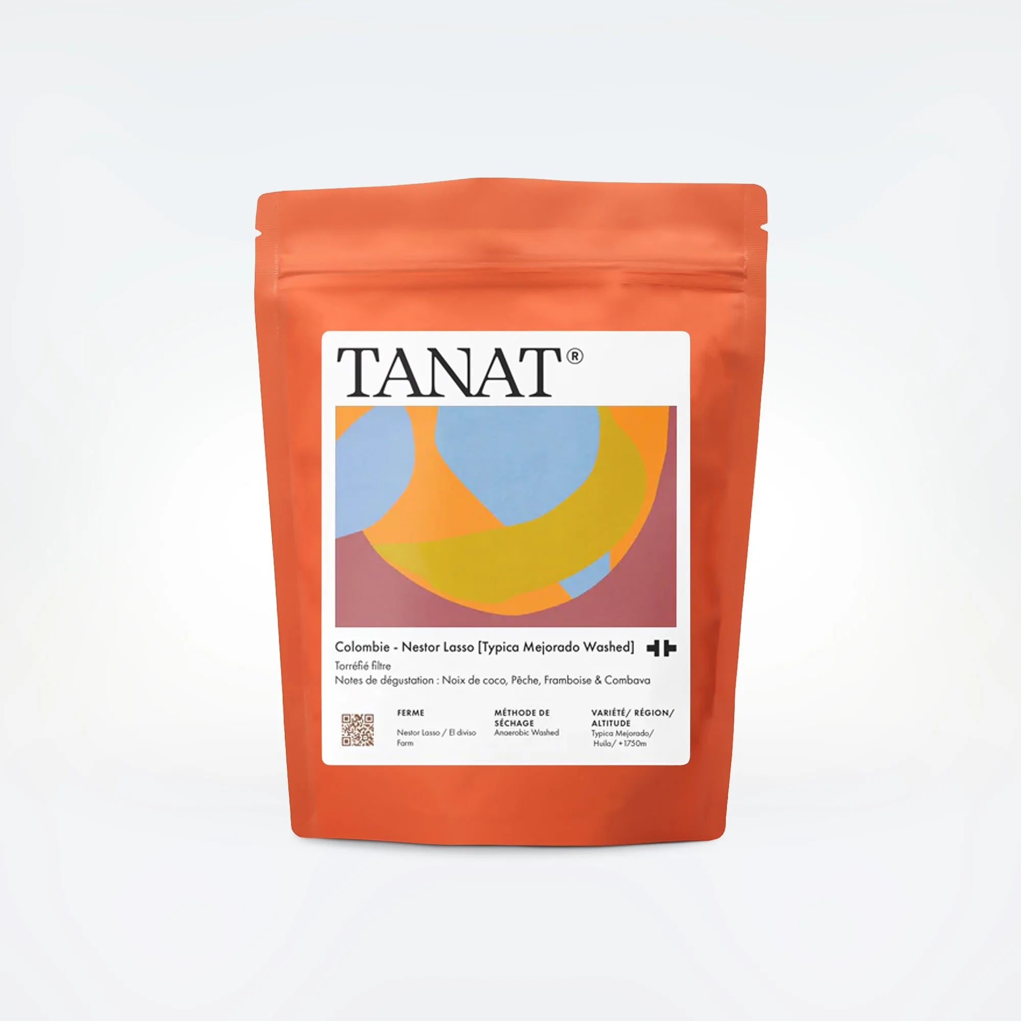TANAT-Nestor-Lasso-Typica-Bad-Mother.jpg