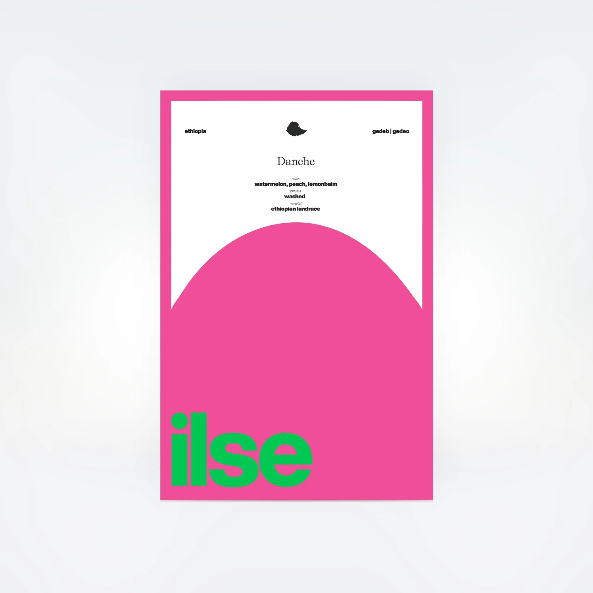 ilse-Danche-Bad-Mother.jpg